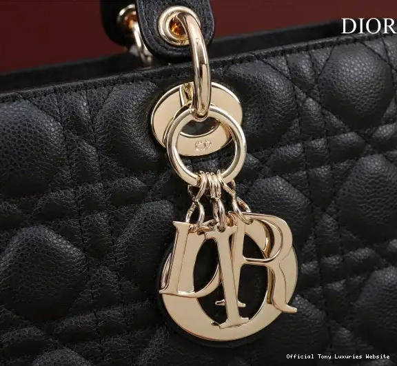 Tony Luxuries LADY LARGE BAG diro 0522